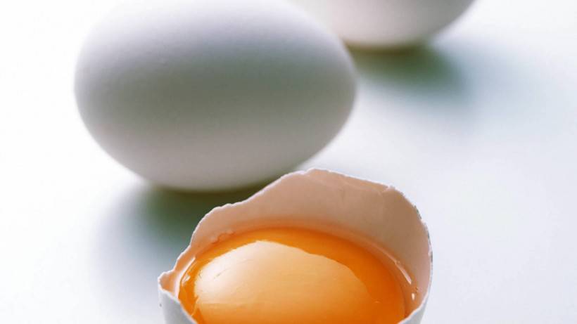 儿童营养早餐图片 鸡蛋牛奶不可缺