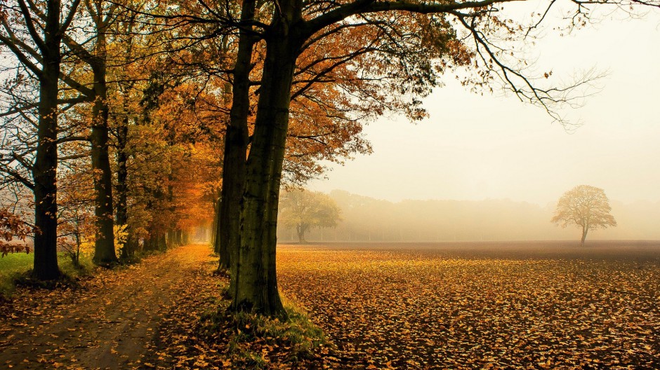 秋天大自然风景图片秀丽宜人