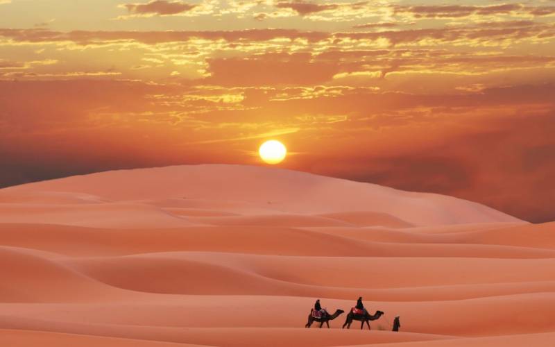 一望无际的撒哈拉沙漠风光高清大图