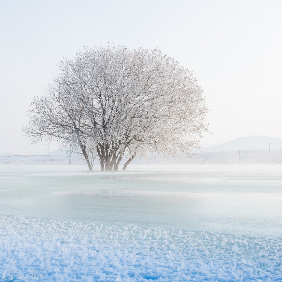 北国冬季坝上雾凇美景