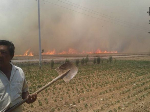 安阳滑县近万亩小麦被烧 大火已持续2小时(2)
