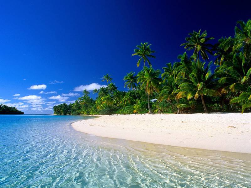 海滨沙滩椰林绿色唯美图片