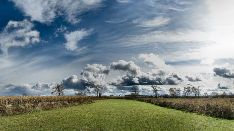 绿色草地清新风景图片壁纸