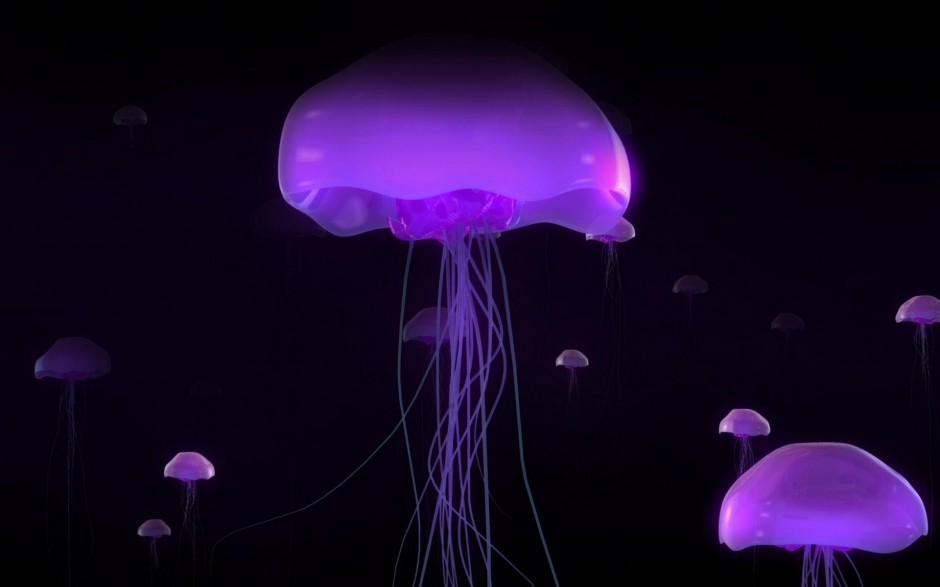 妙曼多彩的微生物水母高清图片
