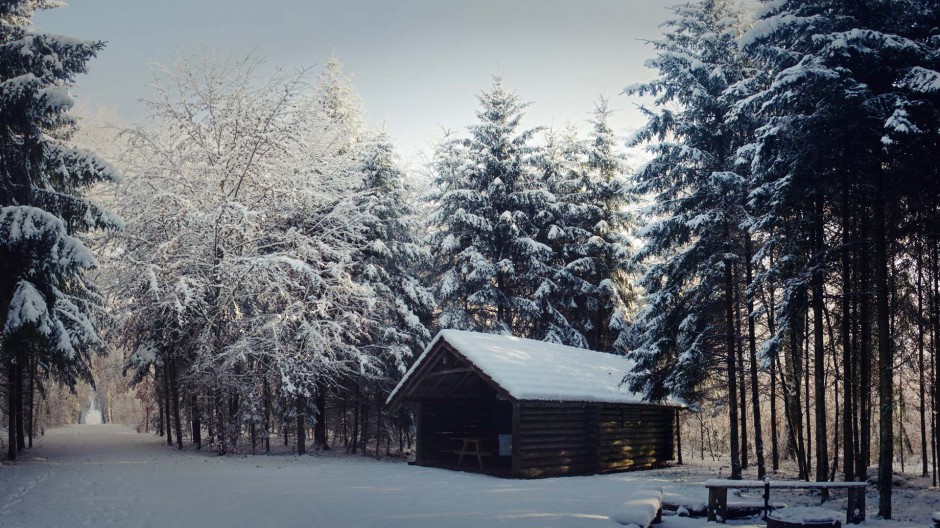 唯美森林雪景风景图片壁纸