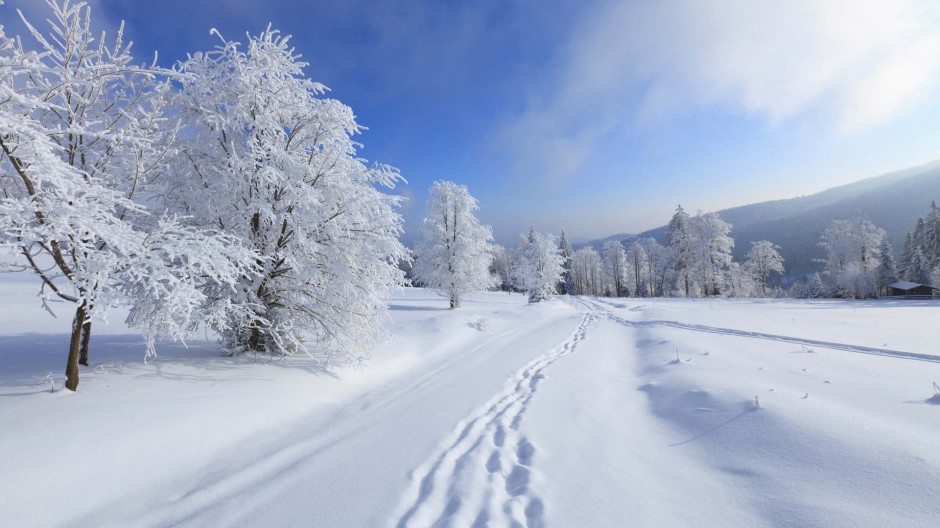唯美森林雪景风景图片壁纸