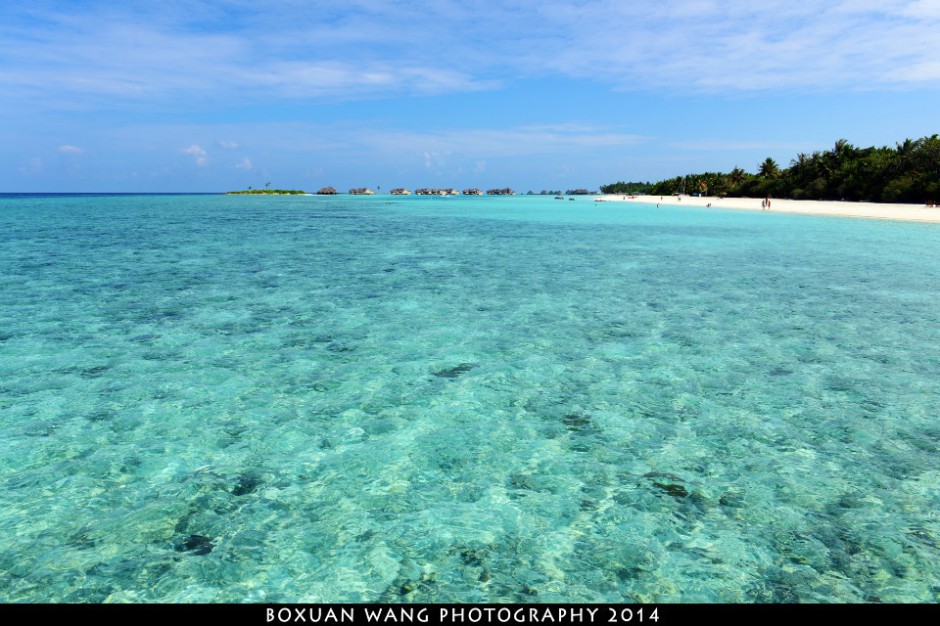 马尔代夫海岸美景观赏