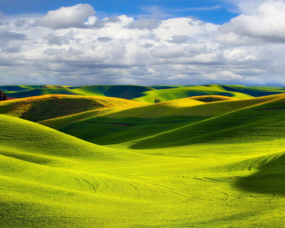 绿色草原风景图片美丽迷人