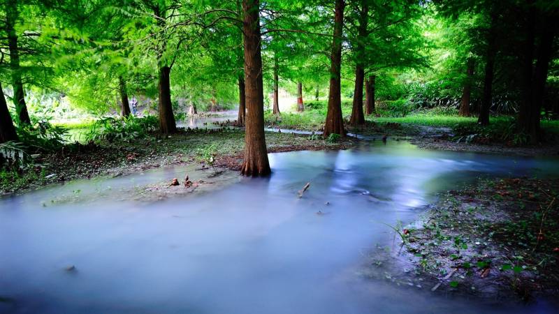 幽静的树林河流高清风景壁纸