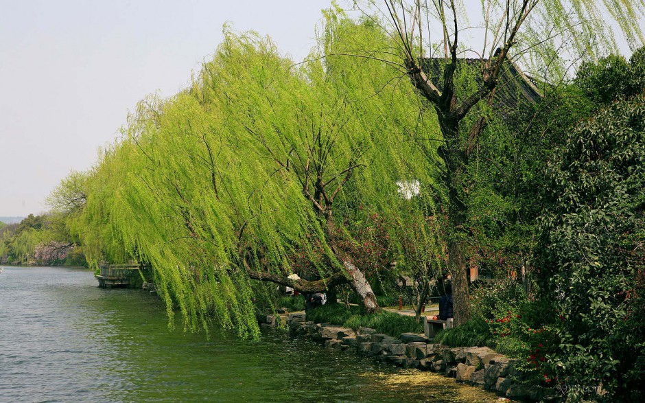 杭州西湖优美风景图片壁纸大全