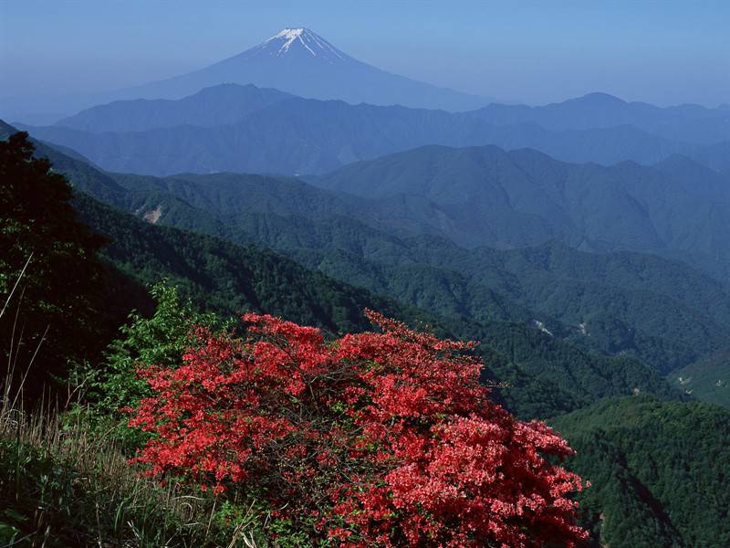 巍然耸立的富士山唯美壮丽图集