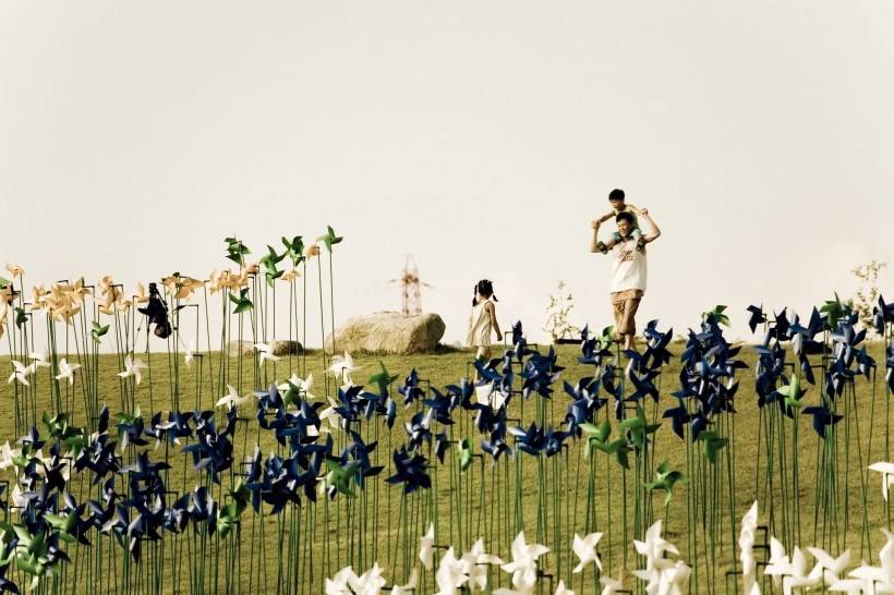 高清纸风车丛嬉戏图片