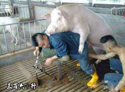 妹子你真的力大无穷啊