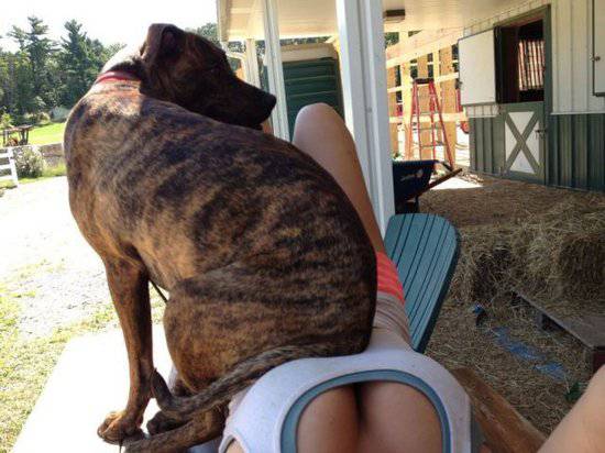 各种炫富90后 雷人的生活照曝光