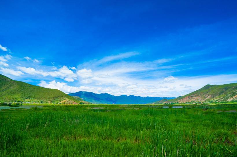 泸沽湖草海大自然风景图片大全