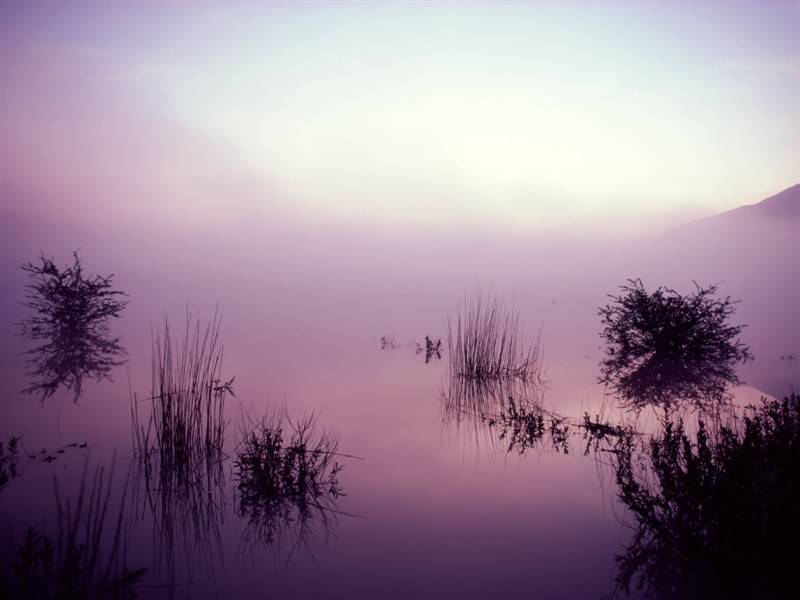 初晨云雾缭绕自然风景