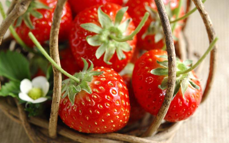 新鲜草莓唯美水果特写图片