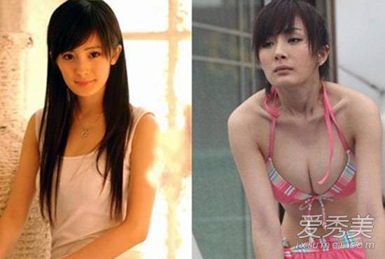 平胸秒变豪乳 女星真假胸器大盘点(4)