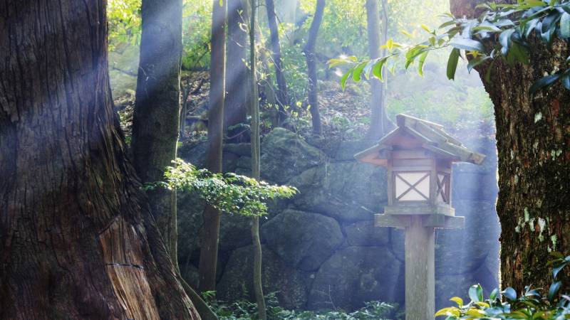 梦幻的大自然风光壁纸精选