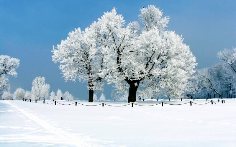 迷人大自然雪景风光壁纸
