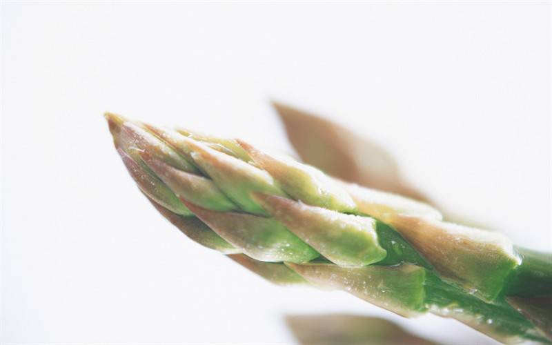 精美水果蔬菜唯美高清图片