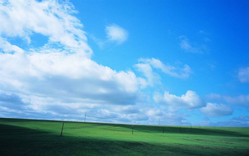 青葱绿色草原风光美景