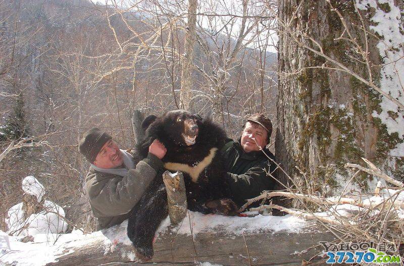 冷血的瞬间“猎熊杀手”