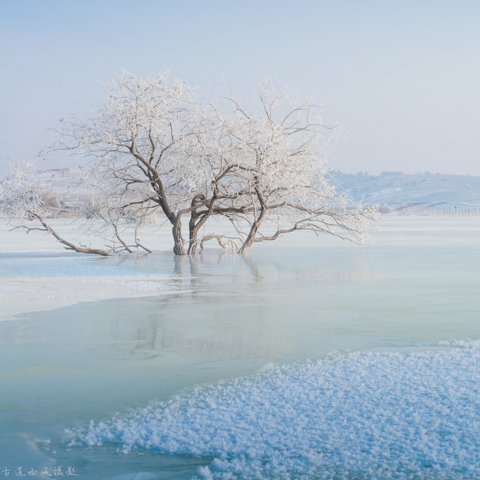 北国冬季坝上雾凇美景