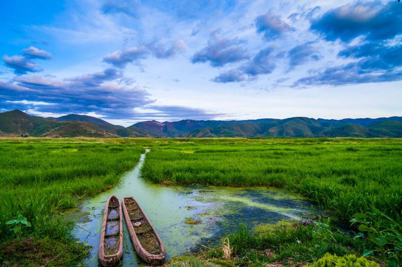 泸沽湖草海大自然风景图片大全