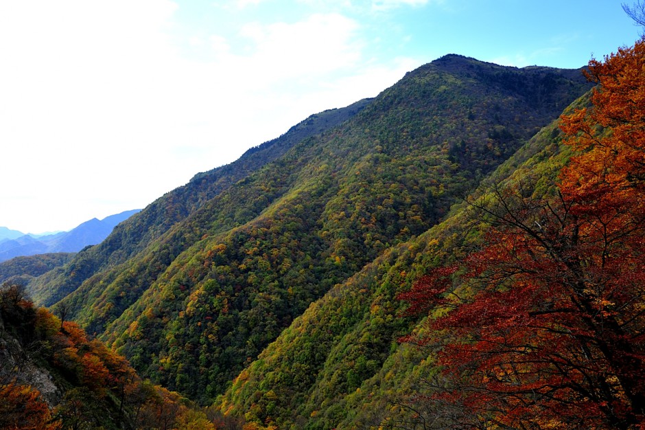 神农架 秋色满山