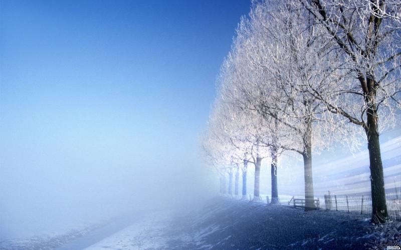 迷人大自然雪景风光壁纸