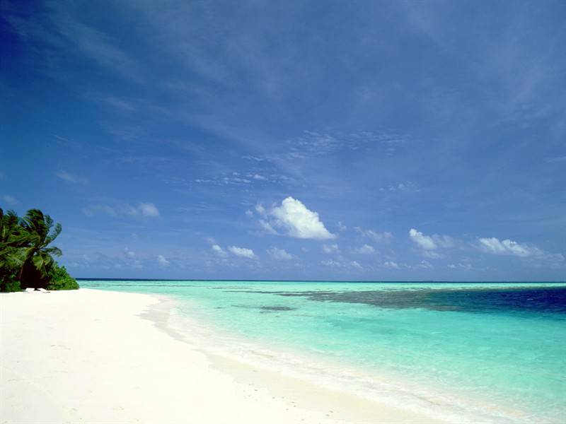 沙滩椰林唯美海景图片