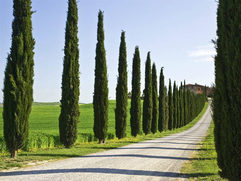 山间溪流唯美风景图片