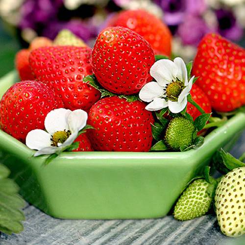 鲜甜诱人的草莓甜点图片