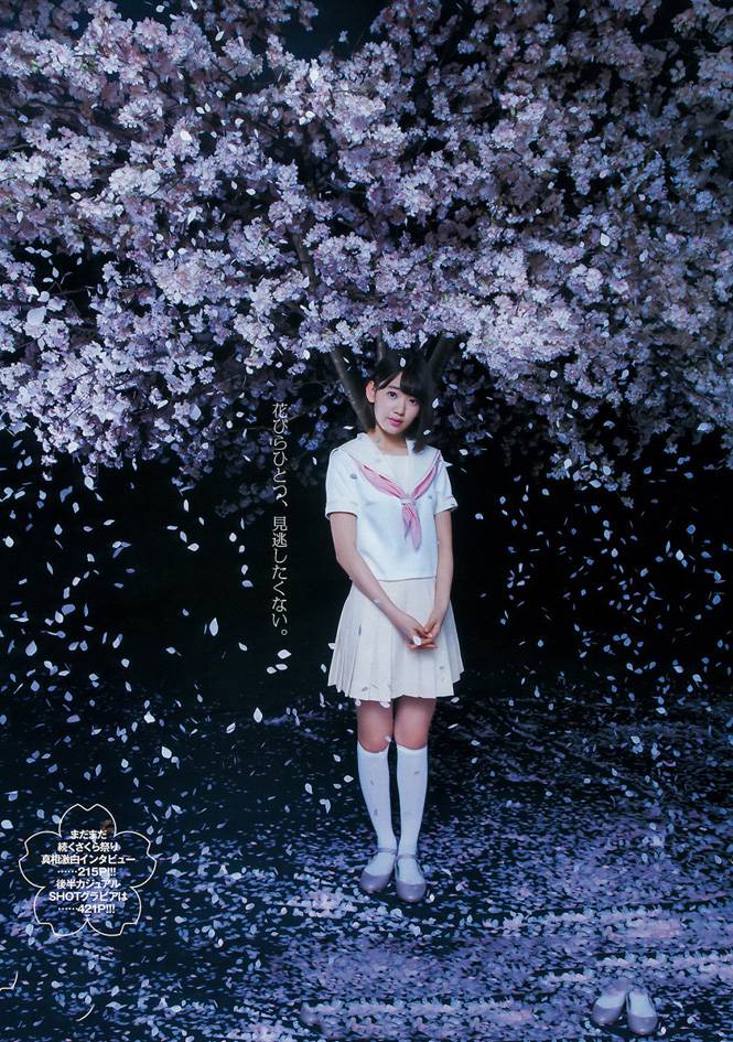 樱花树下的甜美少女宫脇咲良可爱写真