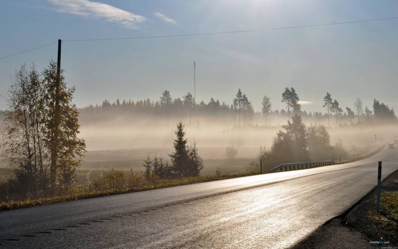 微雾笼罩的秋冬清晨唯美风景图片