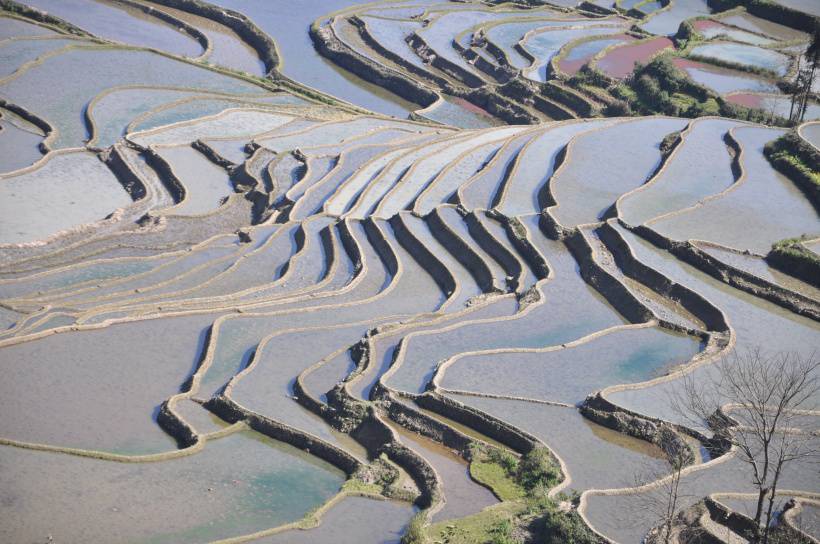 云南元阳梯田风景实拍图片