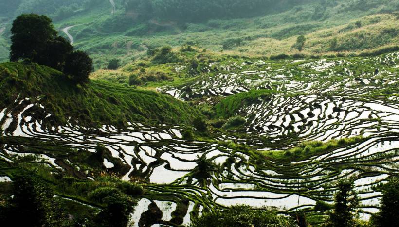 福建尤溪联合梯田风景图片