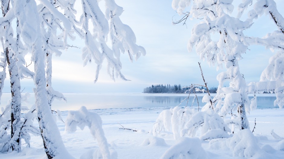 冬天森林公园唯美白色雪景图片
