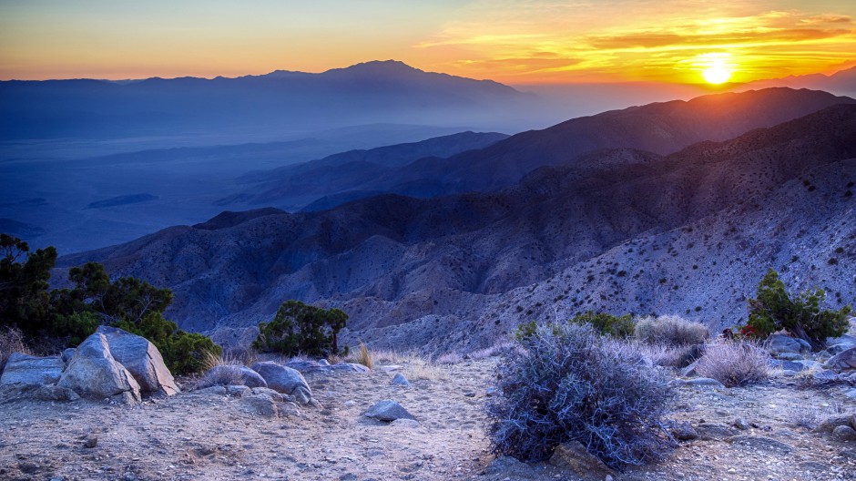旭日暖阳下的冬日雪景唯美图片
