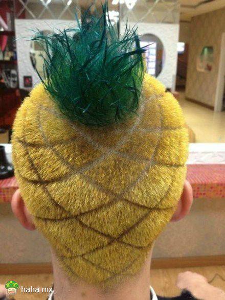 趣味恶搞图片之菠萝发型