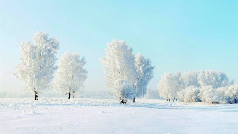 冬天唯美雪景高清雪景壁纸