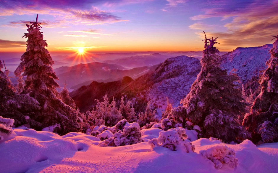 树林雪景图片雪白晶莹