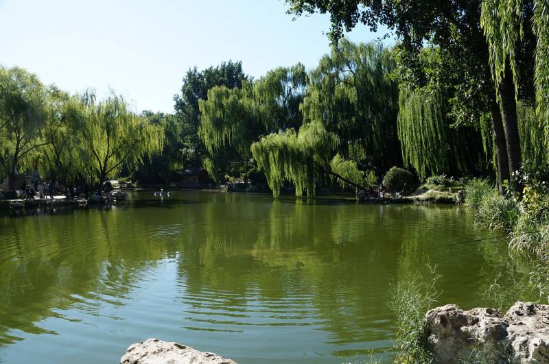 北京紫竹院公园绿色风景图片