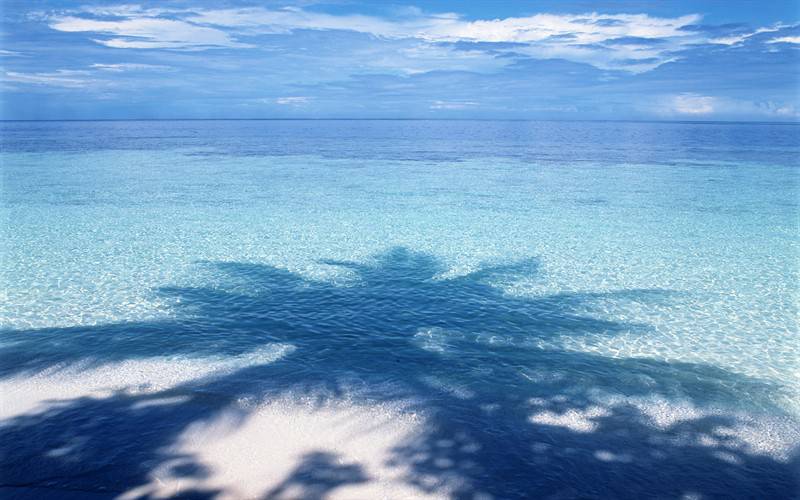 海滨清澈见底的海水唯美风景图片