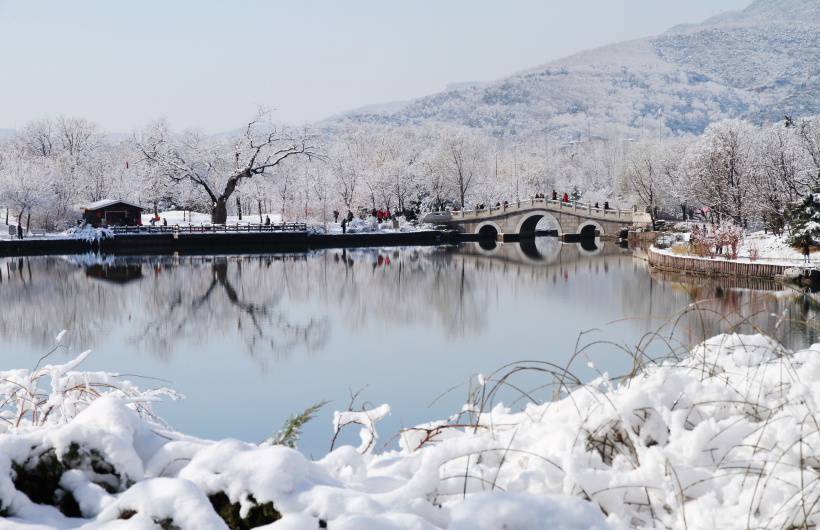 北京植物园雪景唯美摄影