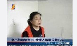 女出纳养情人 “男小三”获130余万“恋爱费”