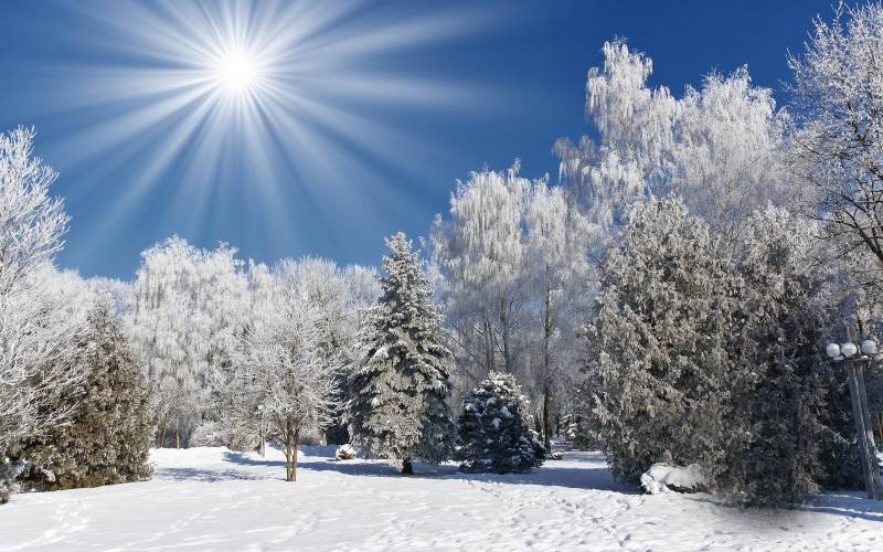 冬天树林雪景精美桌面壁纸