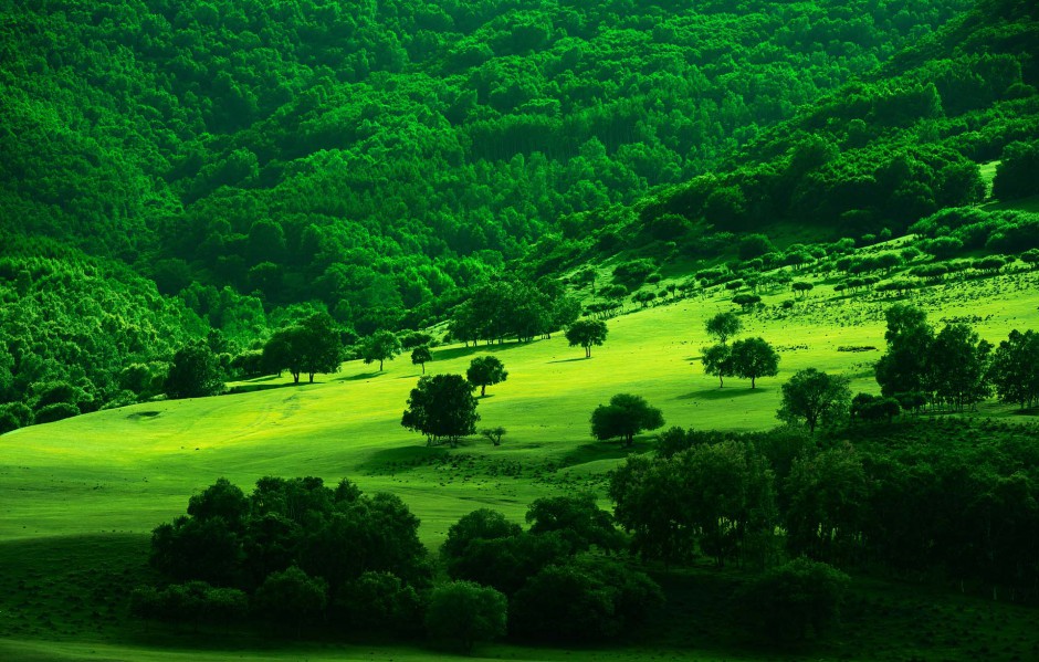 张家口坝上夏季风景高清图片