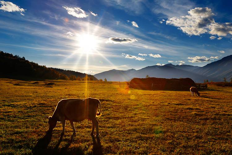 梦幻宁静村庄唯美摄影